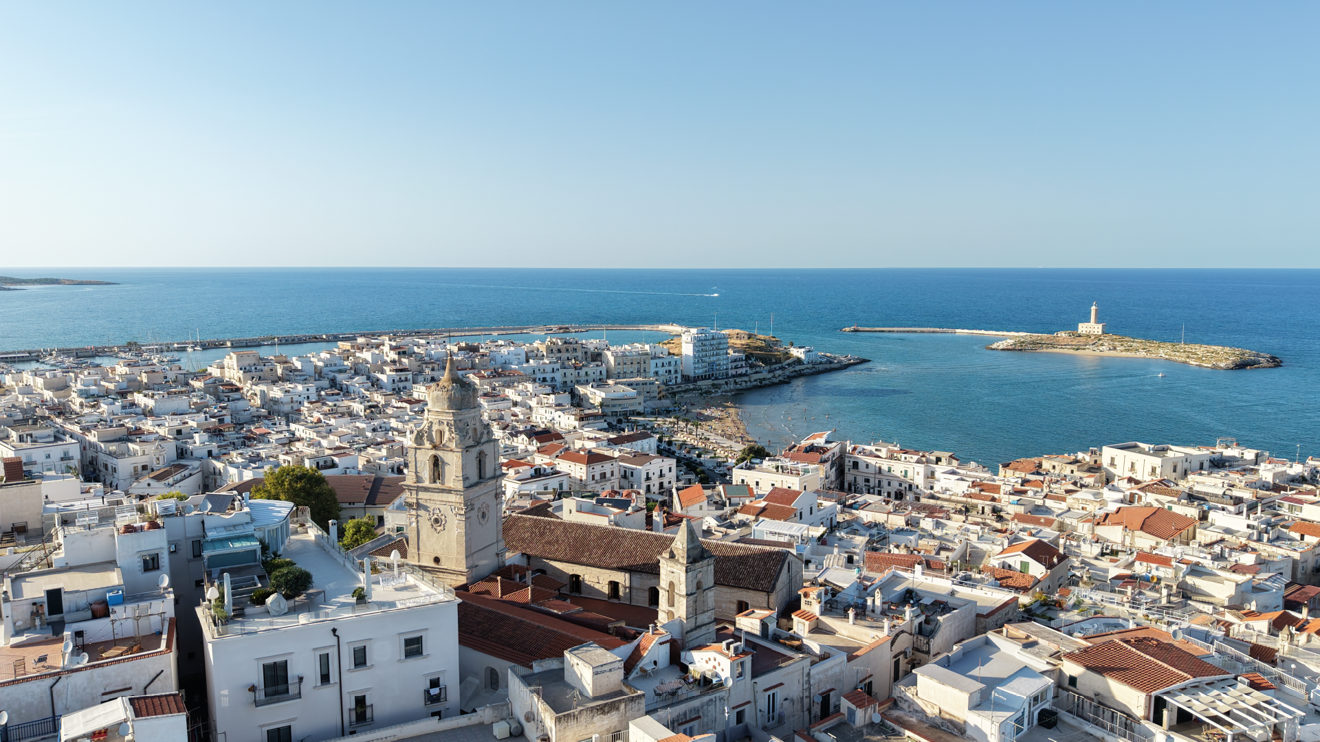 Copertina di Vieste Experience, Vieste e il suo centro storico, il campanile della cattedrale e il faro dell'isola di sant'Eufemia