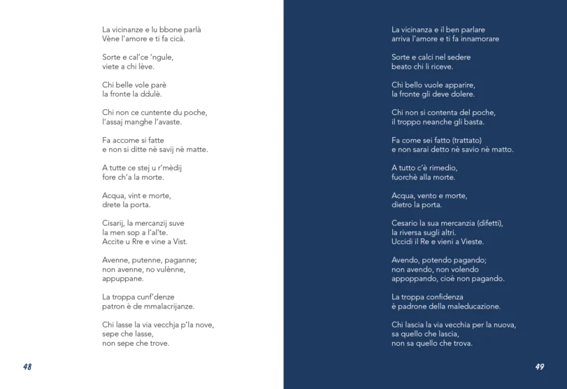 file anteprima pag._Tavola disegno 1 copia 14 Guida n.4 La voce del paese di Vieste, guida aperta alla doppia pagina in cui sono presenti diversi proverbi in dialetto viestano con la traduzione in italiano.